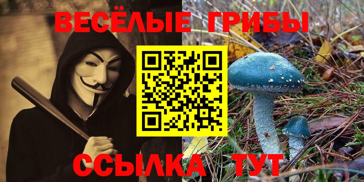 Псилоцибиновые грибы MAGIC MUSHROOMS Новоалтайск